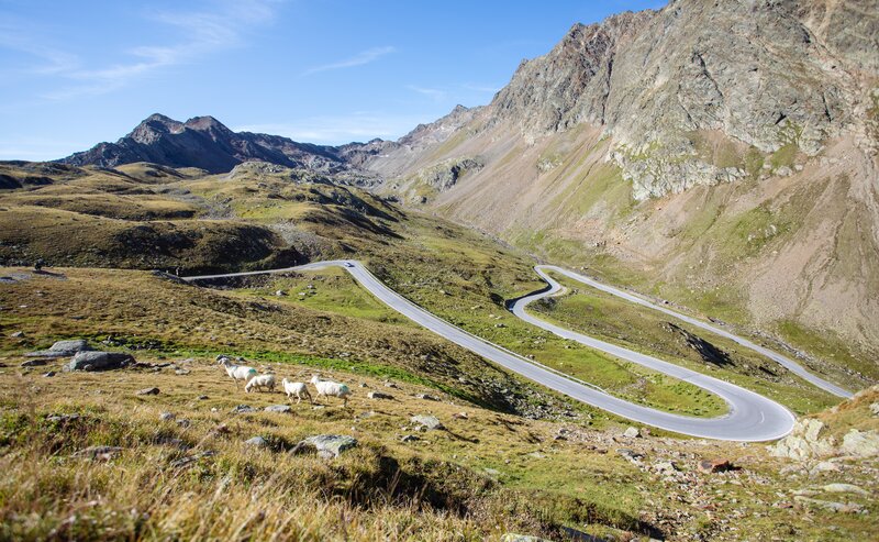 Strada di montagna | © IDM Südtirol-Alto Adige/Benjamin Pfitscher