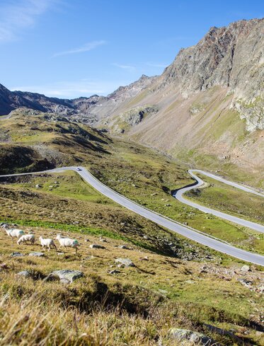 Strada di montagna | © IDM Südtirol-Alto Adige/Benjamin Pfitscher