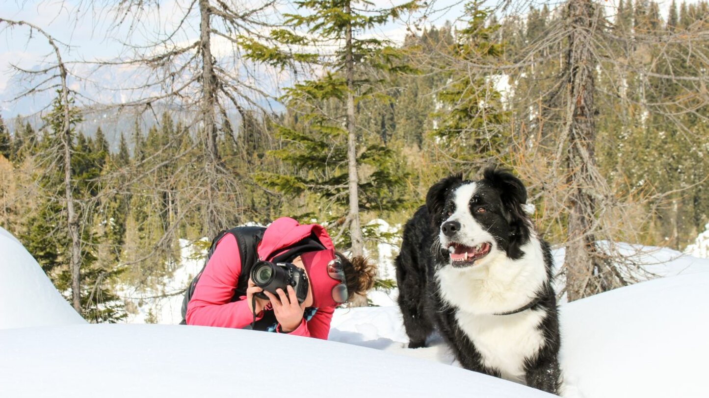 Wandern mit Hund im Latemar | © Timon Meraner