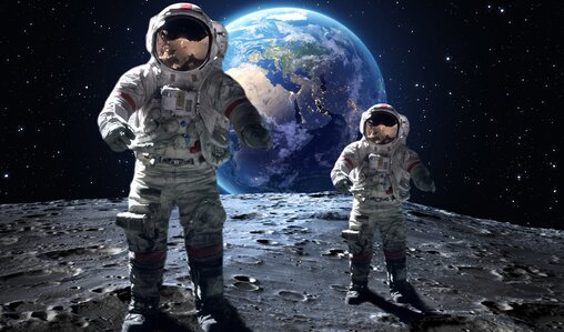 Der Mensch im All | © Shutterstock