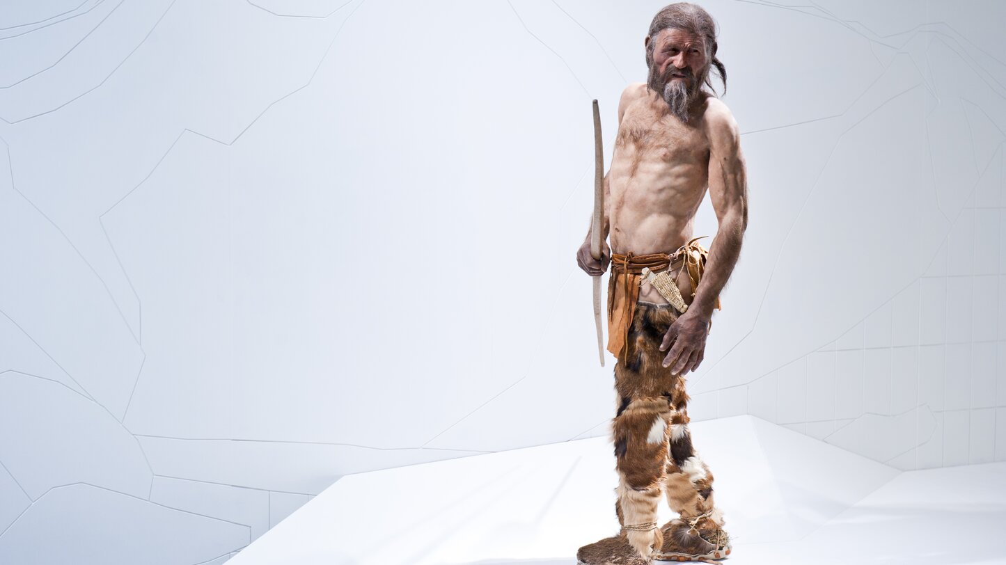 Ötzi South Tyrol Museum of Archaeology | © Südtiroler Archäologiemuseum