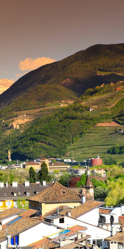 Bolzano/Bozen with view on the Rosengarten | © AST-VA Luca Ognibeni