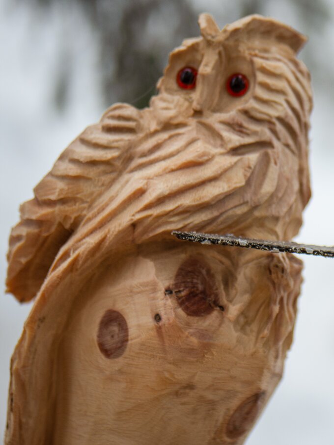 gufo scolpito in legno con la motosega | © Alexandra Näckler