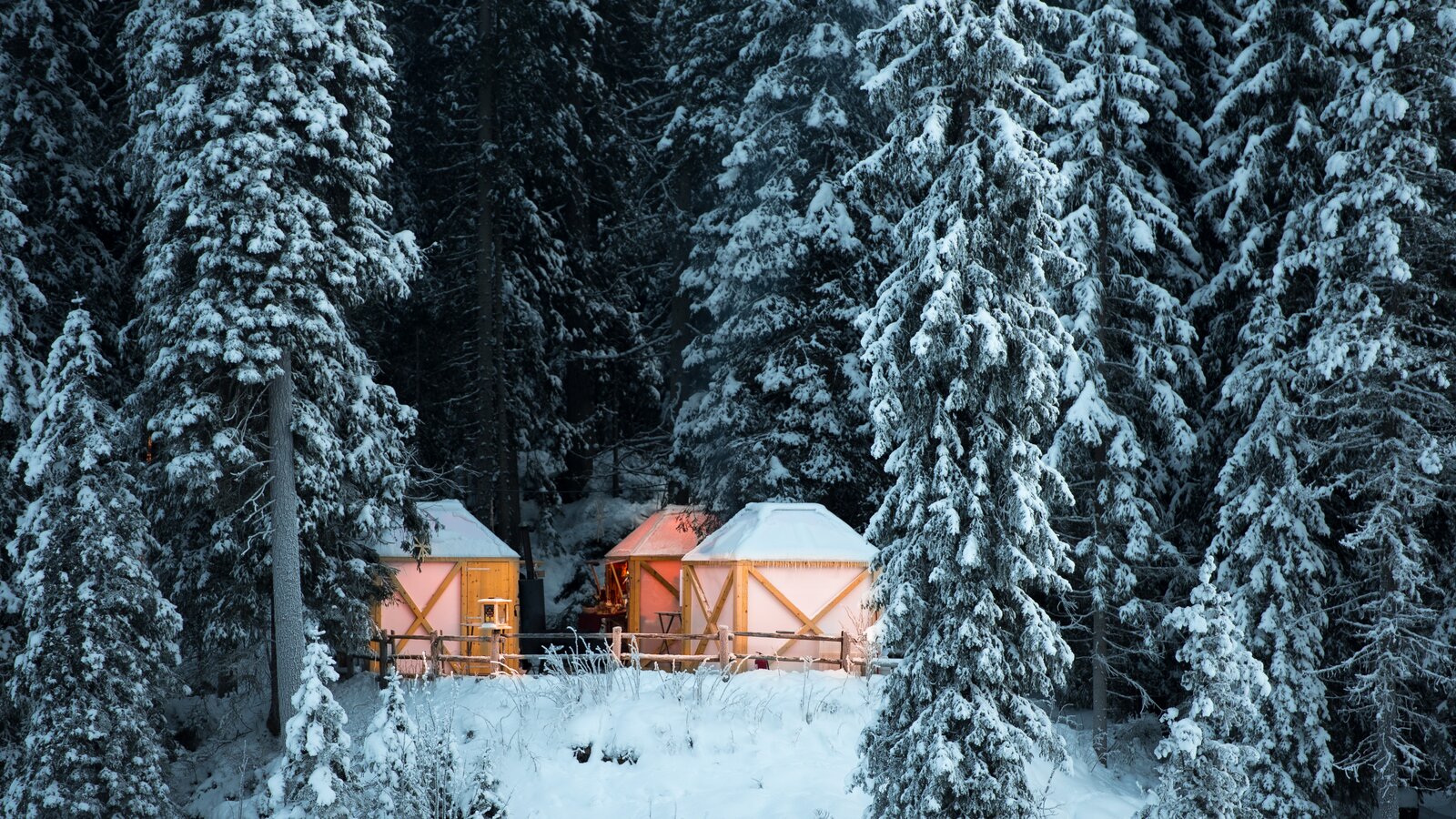 beleuchtete Hütten im verschneiten Winterwald | © Armin Mair (Indio)