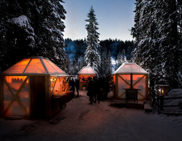 Shining huts Latemar Lake Carezza in Winter | © Armin Mair