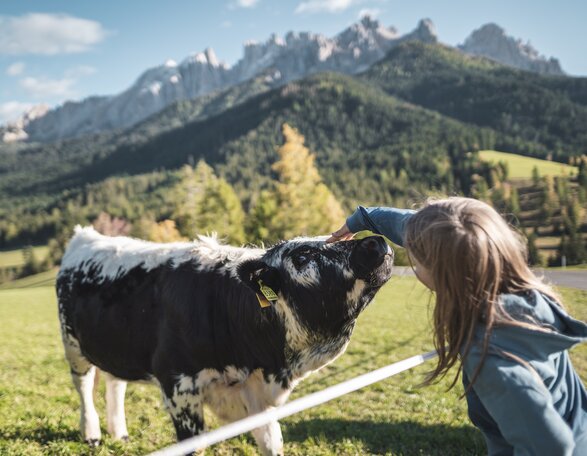 Kühe Kinder Latemar | © Eggental Tourismus/Thomas Monsorno