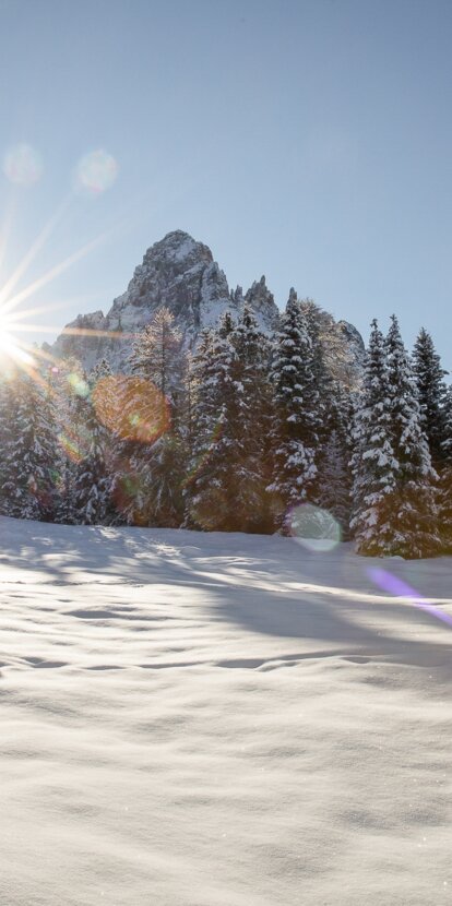 Verschneite Wiese Latemar | © Günther Pichler