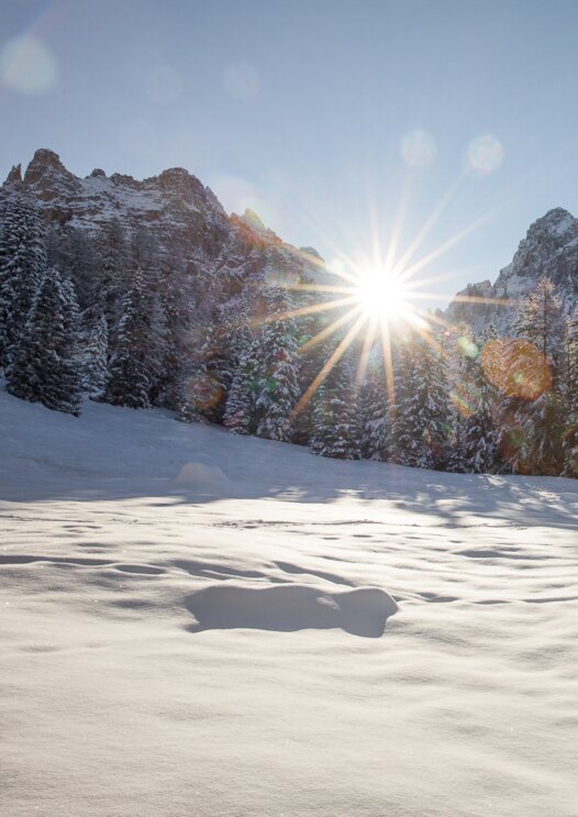 Verschneite Wiese Latemar | © Günther Pichler