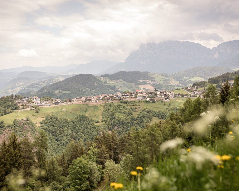 Blumenwiese mit Blick auf Steinegg | © Alfred Tschager