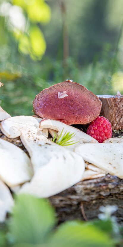 Pilze und Wildfleischgerichte | © Günther Pichler
