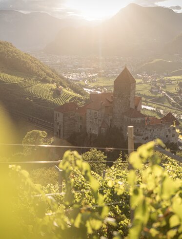Burg Karneid Weinreben Blick auf Bozen | © TV Steinegg/Alfred Tschager