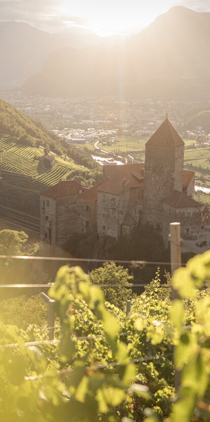 Burg Karneid Weinreben Blick auf Bozen | © TV Steinegg/Alfred Tschager