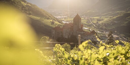 Burg Karneid Weinreben Blick auf Bozen | © TV Steinegg/Alfred Tschager