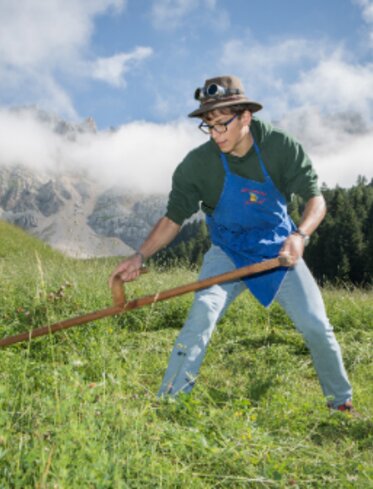 Traditional mowing of the alpine meadow below Latemar | © Obereggen Latemar AG/Günther Pichler