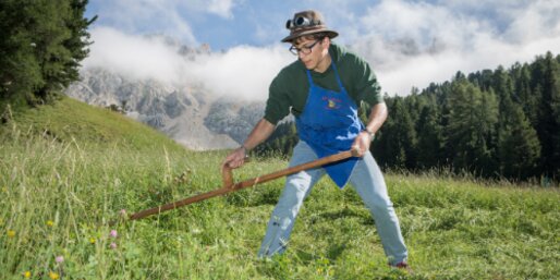 Traditional mowing of the alpine meadow below Latemar | © Obereggen Latemar AG/Günther Pichler