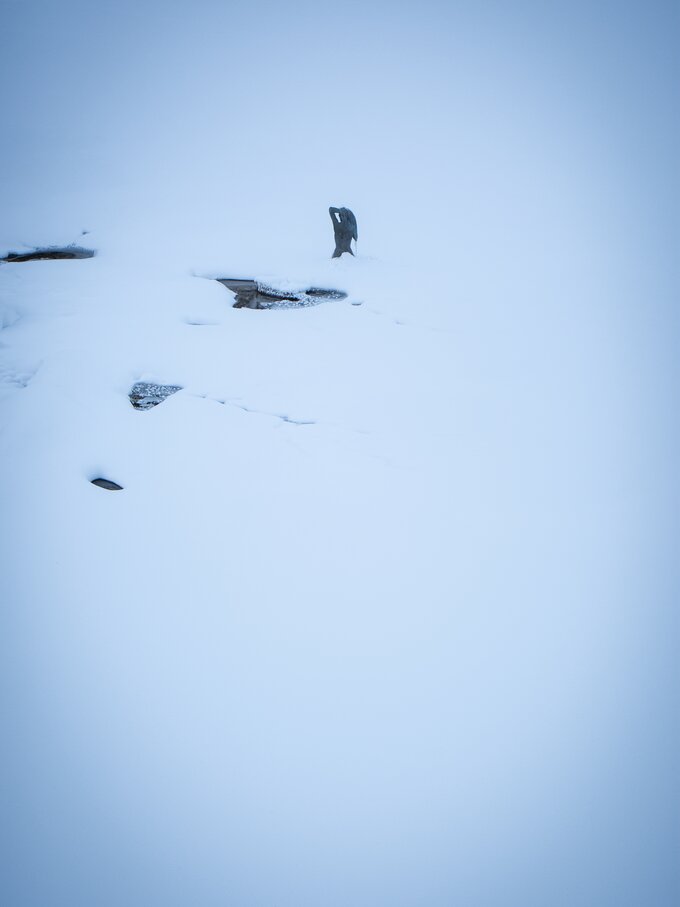 Nixe gefrorener Karer See  | © Alexandra Näckler