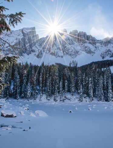 Frozen Lake Carezza Sunshine Winter | © Alexandra Näckler