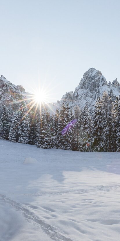 Prato Neve capanna Corno d'Ega | © Obereggen Latemar AG/Günther Pichler