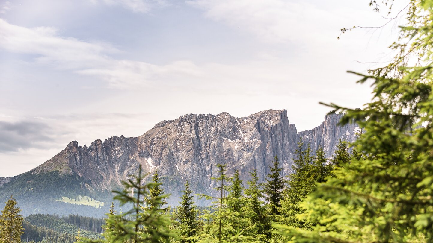 Latemar and Latemar Forest | © Eggental Tourismus/Jens Staudt