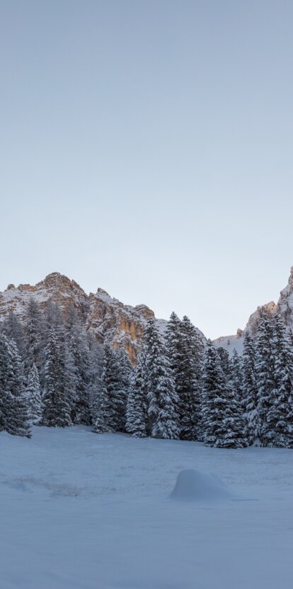 Meadow full of snow and Latemar mountain | © Günther Pichler