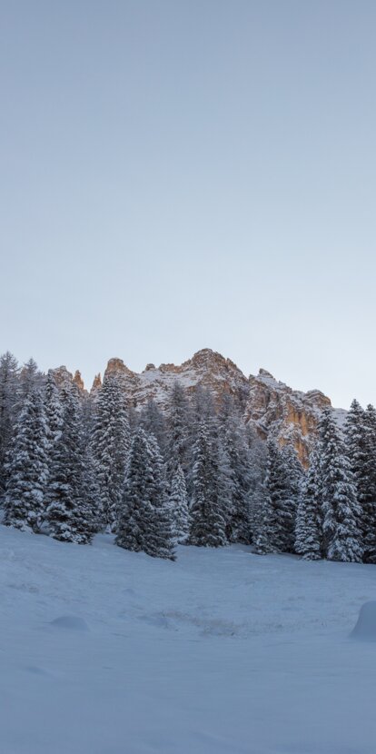 Meadow full of snow and Latemar mountain | © Günther Pichler