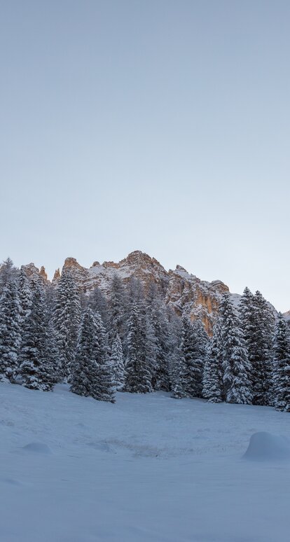 Prato di neve e Latemar | © Günther Pichler