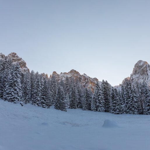 Latemar Winter Obereggen | © Günther Pichler