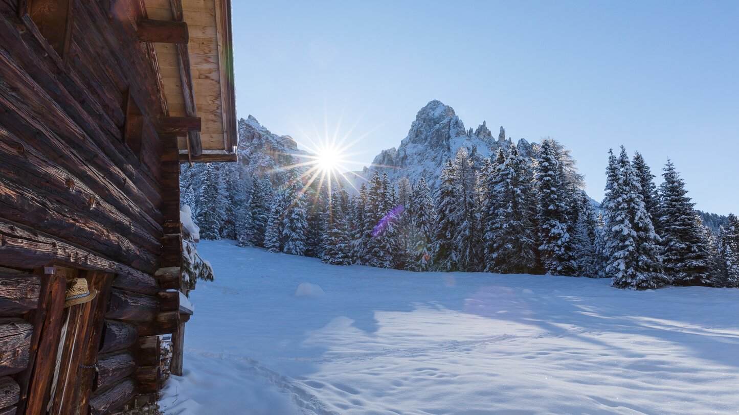 Latemar Wiese Eggentaler Horn Schnee | © Günther Pichler