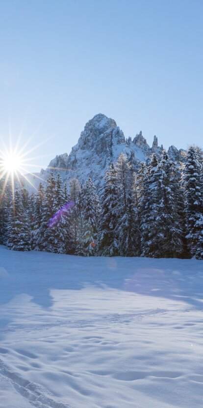 Latemar Meadow Eggentaler Horn Snow | © Günther Pichler