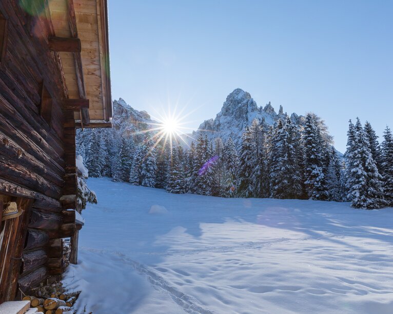 Latemar Wiese Eggentaler Horn Schnee | © Günther Pichler