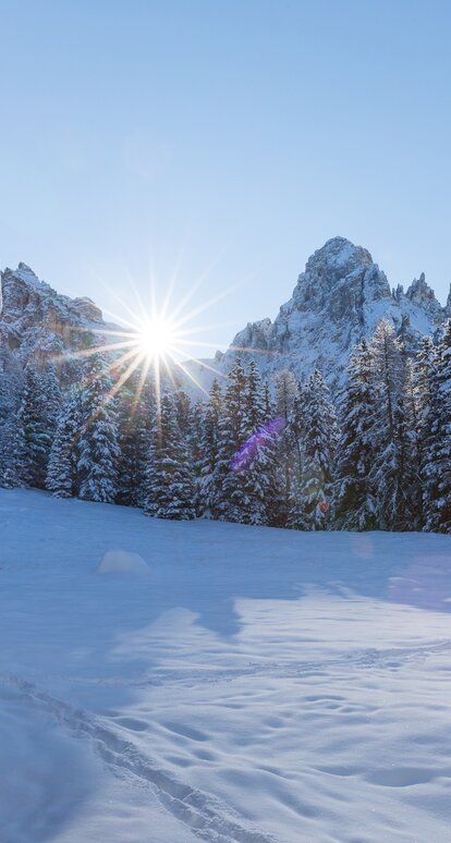 Latemar Meadow Eggentaler Horn Snow | © Günther Pichler