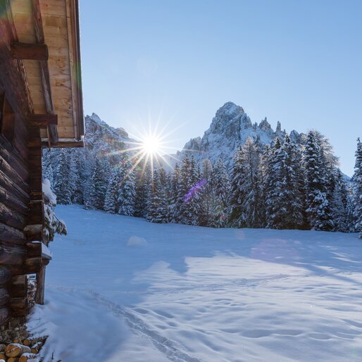 Latemar Meadow Eggentaler Horn Snow | © Günther Pichler