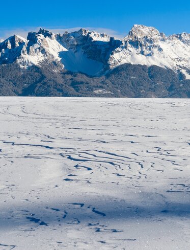 Tracks in the snow Latemar | © Valentin Pardeller
