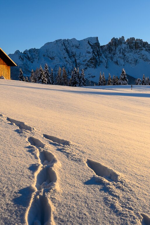 Winter Meadow Alpine Hut Evening Atmosphere Latemar | © Valentin Pardeller