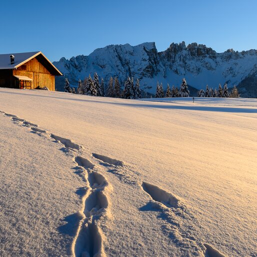Winter Meadow Alpine Hut Evening Atmosphere Latemar | © Valentin Pardeller