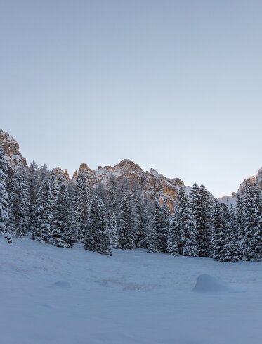 Prato di neve e Latemar | © Günther Pichler