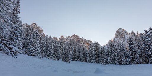 Prato di neve e Latemar | © Günther Pichler