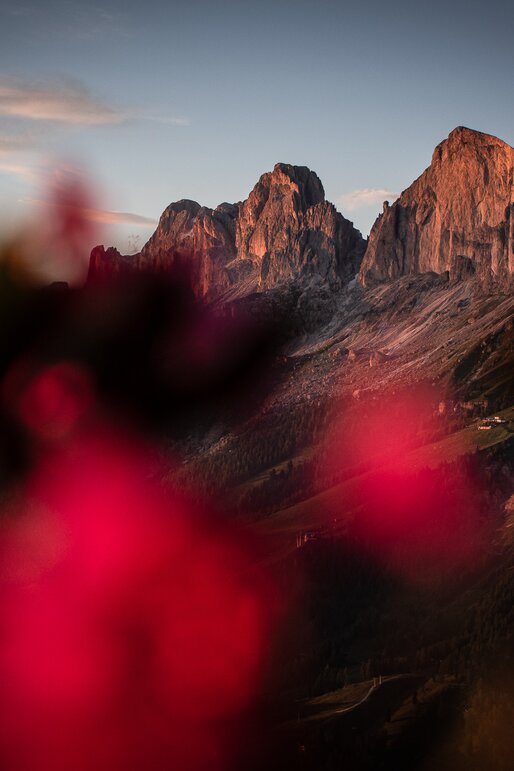 Catinaccio rose alpine Enrosadira | © Alexandra Näckler