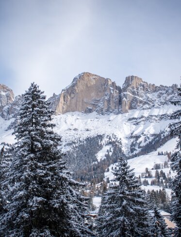 Rotwand in winter timer | © Alexandra Näckler