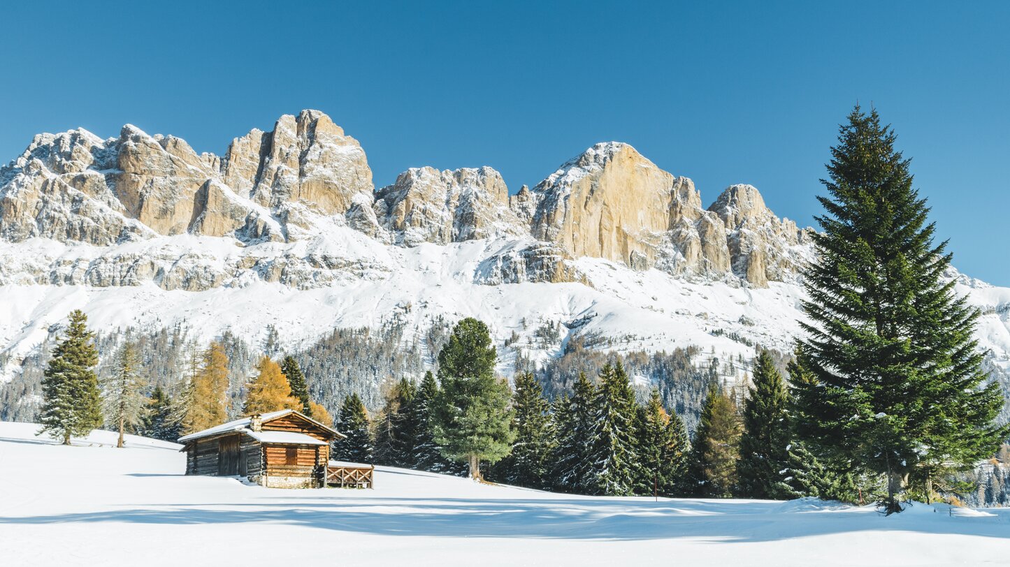 Rosengarten Winter bunte Bäume Almhütte | © Carezza Dolomites/StorytellerLabs