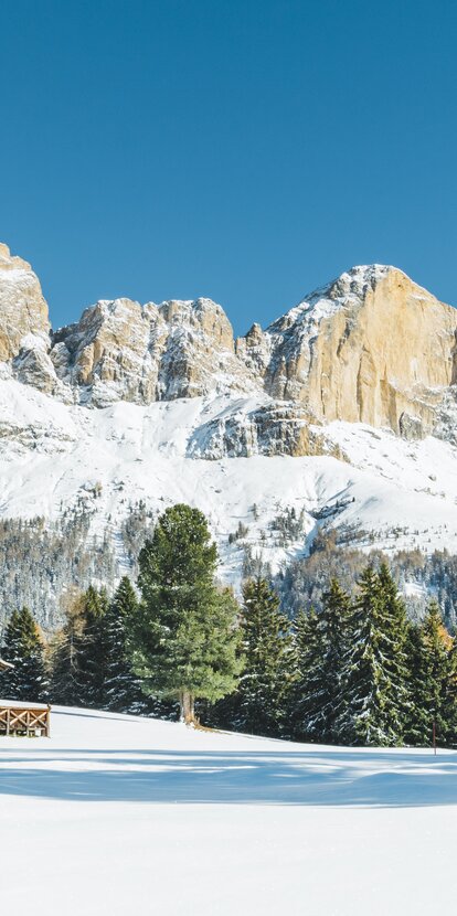 Rosengarten Winter bunte Bäume Almhütte | © Carezza Dolomites/StorytellerLabs