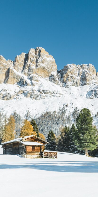Rosengarten Winter Colourful Trees Alpine Hut | © Carezza Dolomites/StorytellerLabs