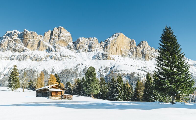 Rosengarten Winter bunte Bäume Almhütte | © Carezza Dolomites/StorytellerLabs