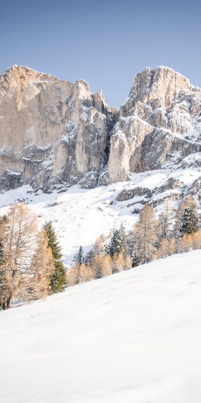 Rotwand with fresh snow | © Alexandra Näckler