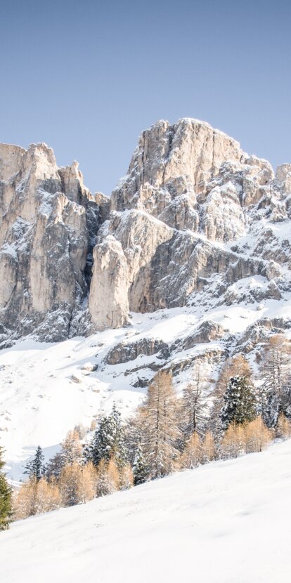 Neuschnee Rotwand | © Alexandra Näckler