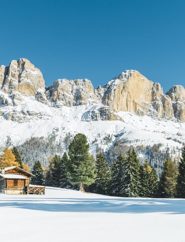 Rosengarten Winter Colourful Trees Alpine Hut | © Carezza Dolomites/StorytellerLabs