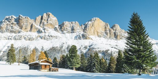 Rosengarten Winter bunte Bäume Almhütte | © Carezza Dolomites/StorytellerLabs