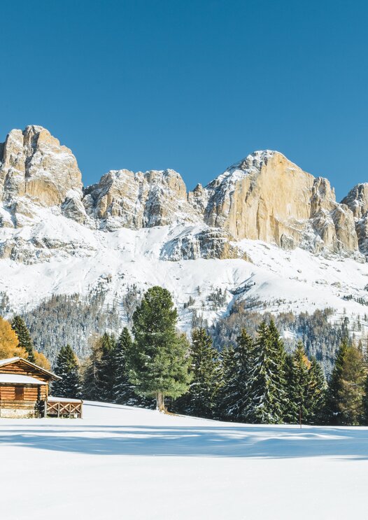 Rosengarten Winter Colourful Trees Alpine Hut | © Carezza Dolomites/StorytellerLabs
