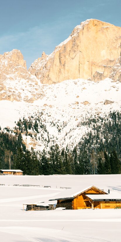 Cross-country skiers at the foot of the Rosengarten | © Carezza Dolomites/StorytellerLabs