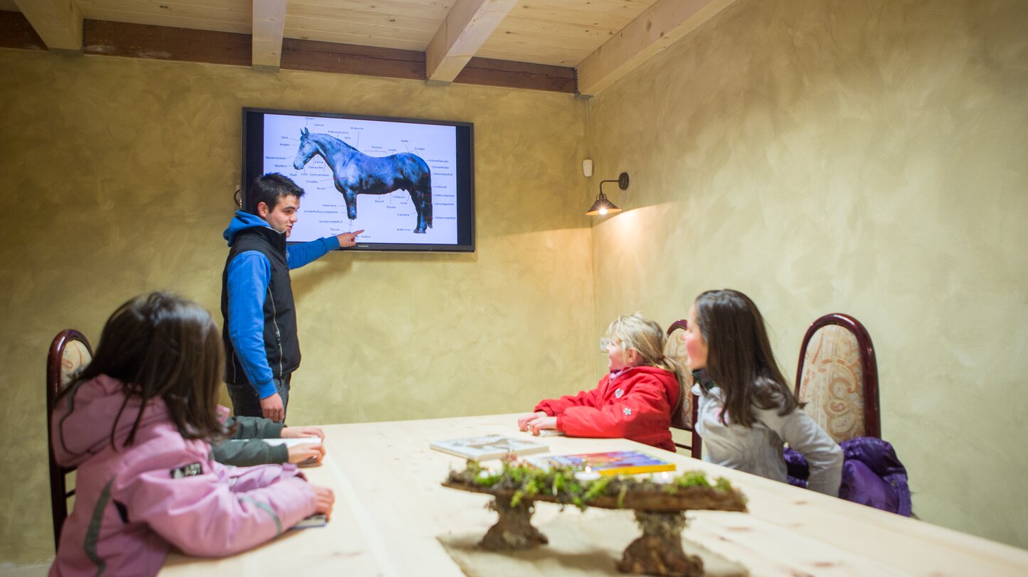 Schermo, Anatomia del cavallo, Lezioni per bambini | © Angerle Alm